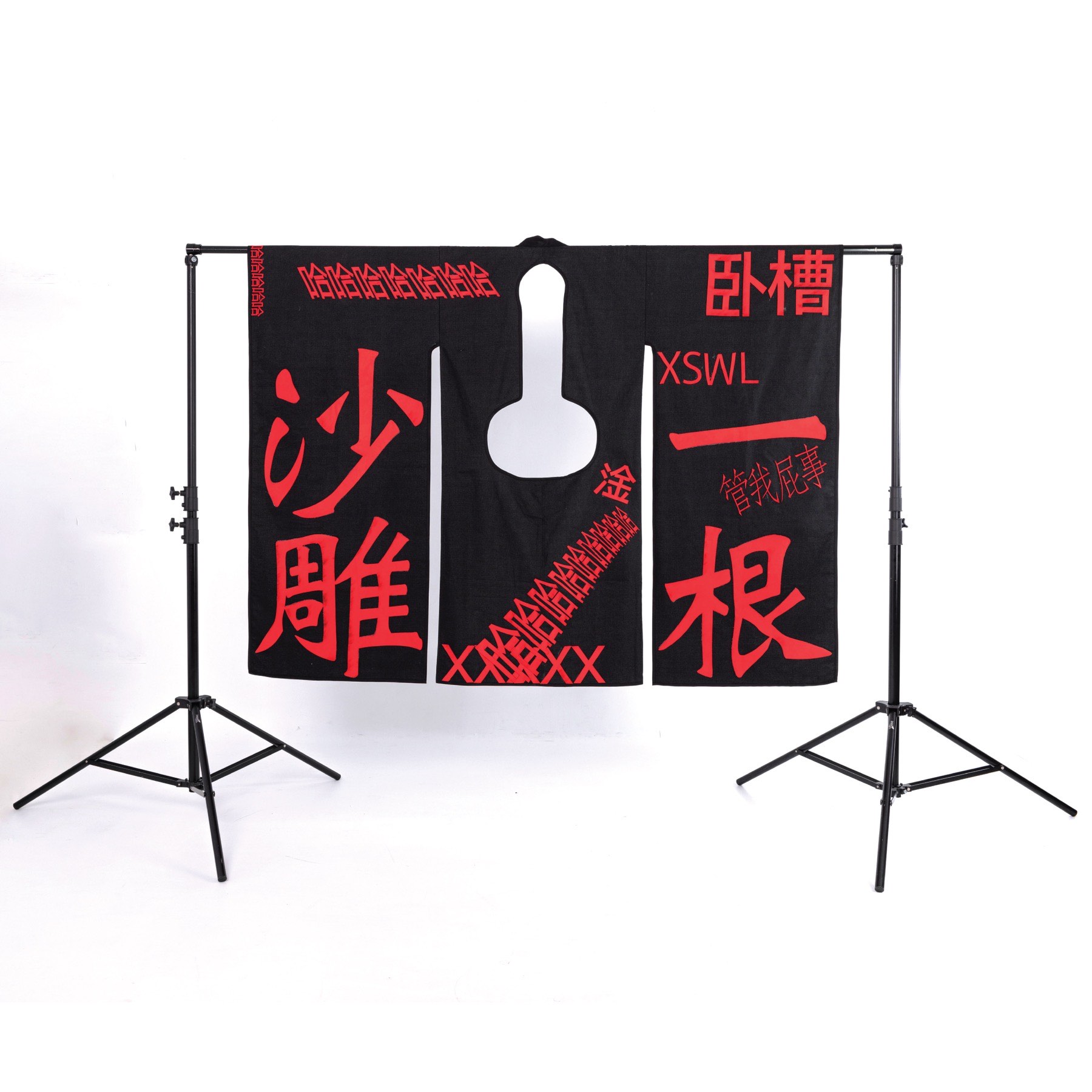 Absurd. i. Reality image after statement 5