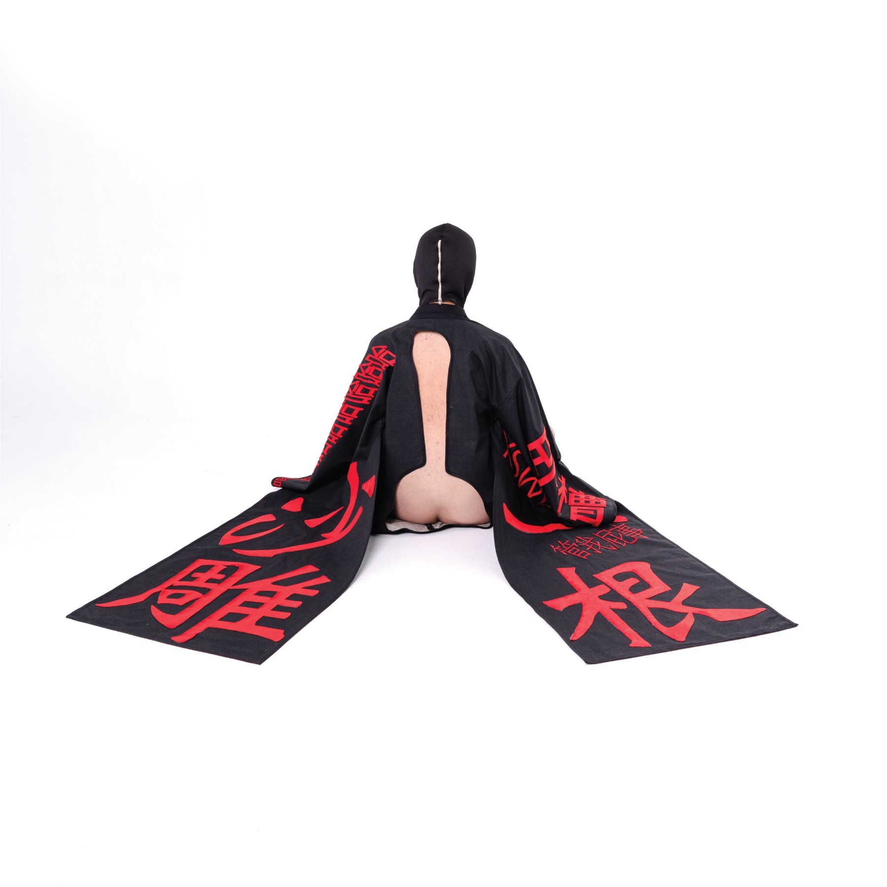 Absurd. i. Reality image after statement 8