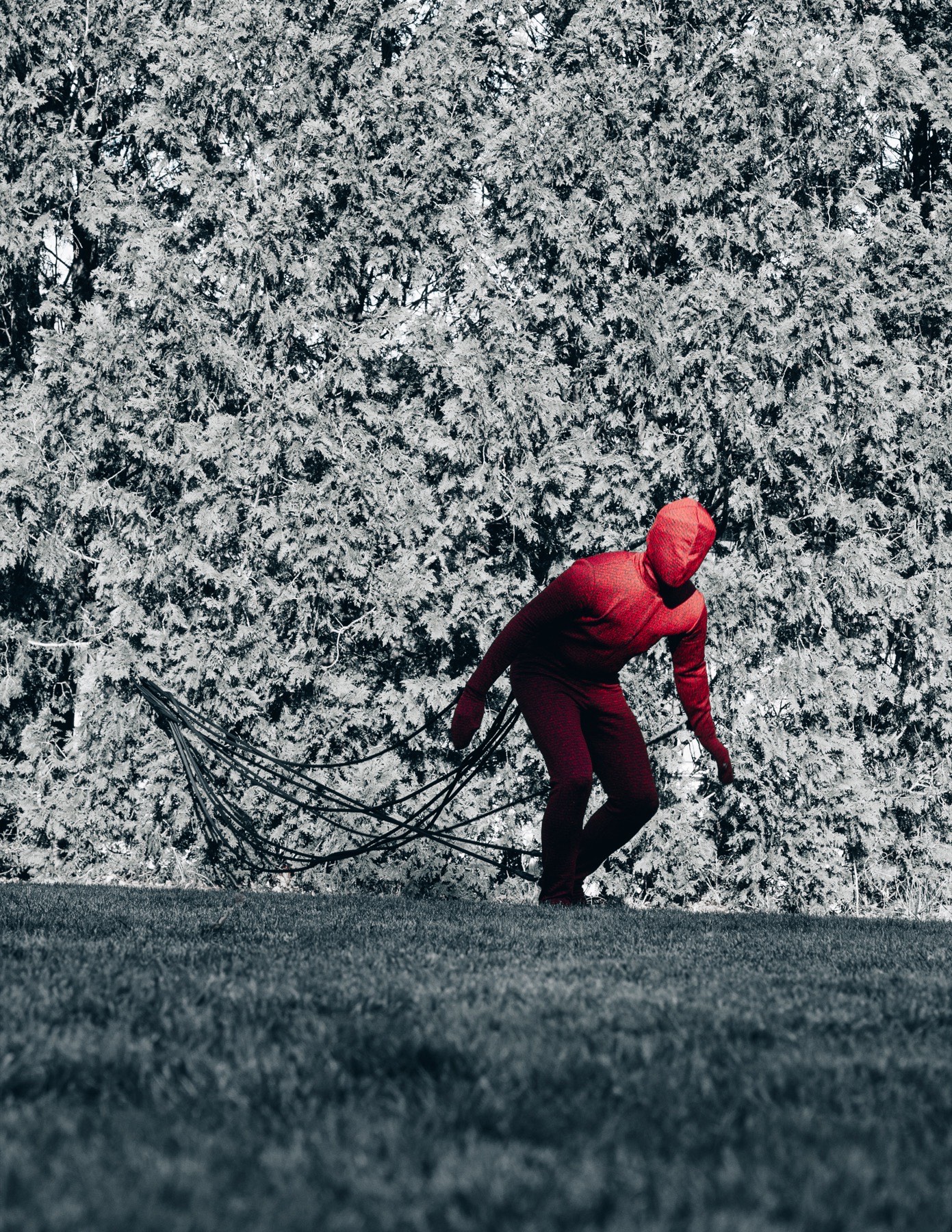 Restriction and Freedom image 1