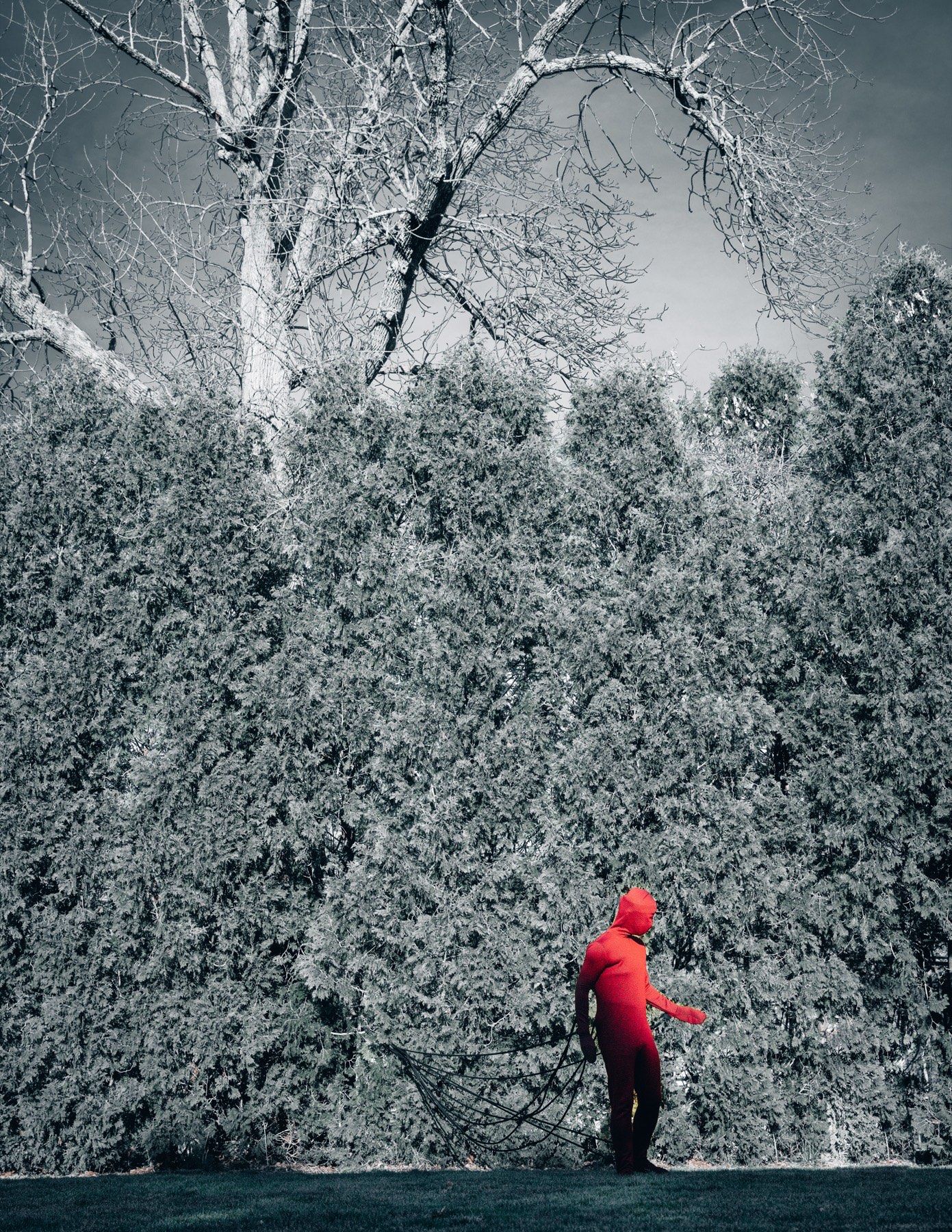 Restriction and Freedom image 2