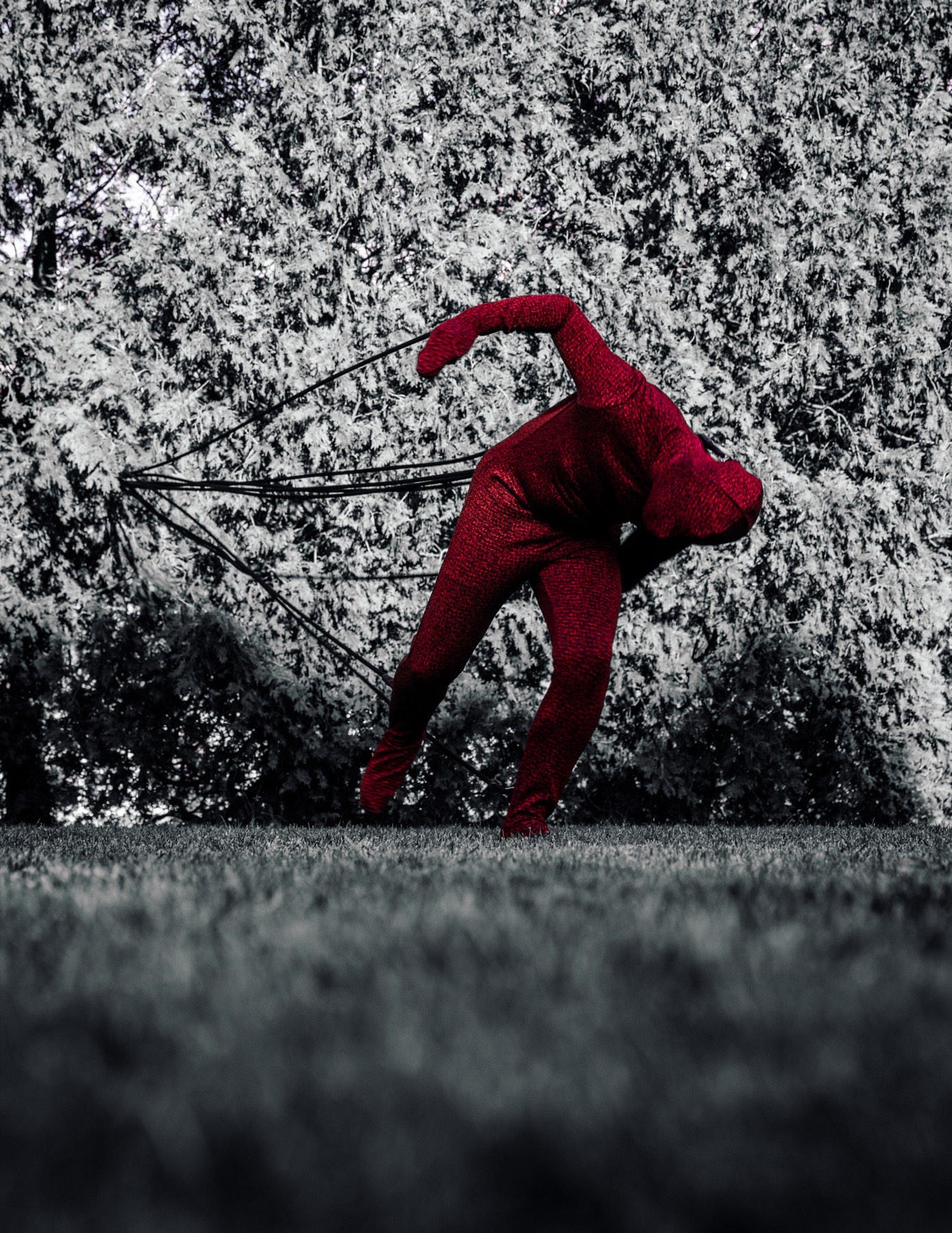 Restriction and Freedom image 3