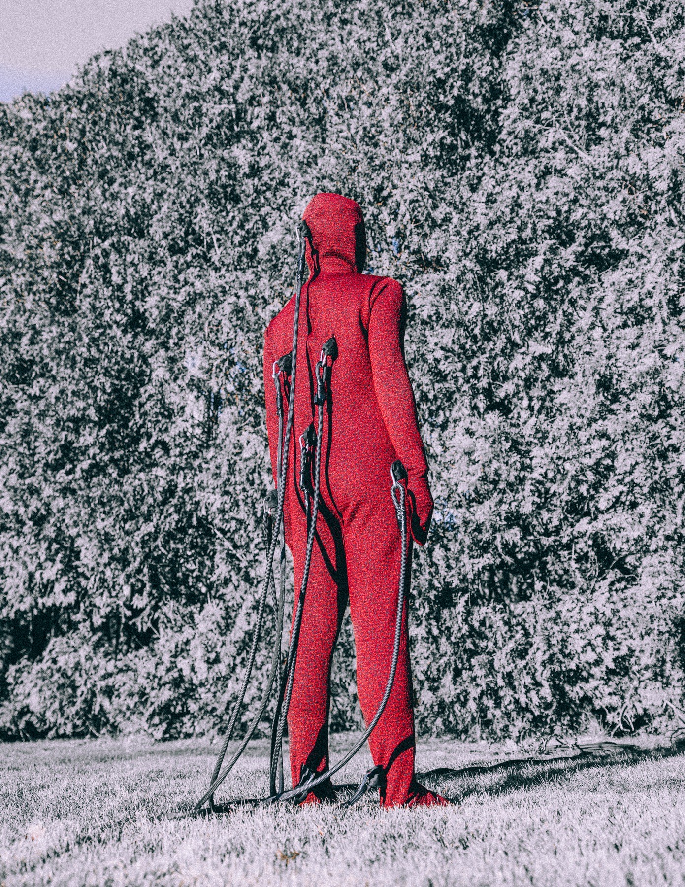 Restriction and Freedom image 4