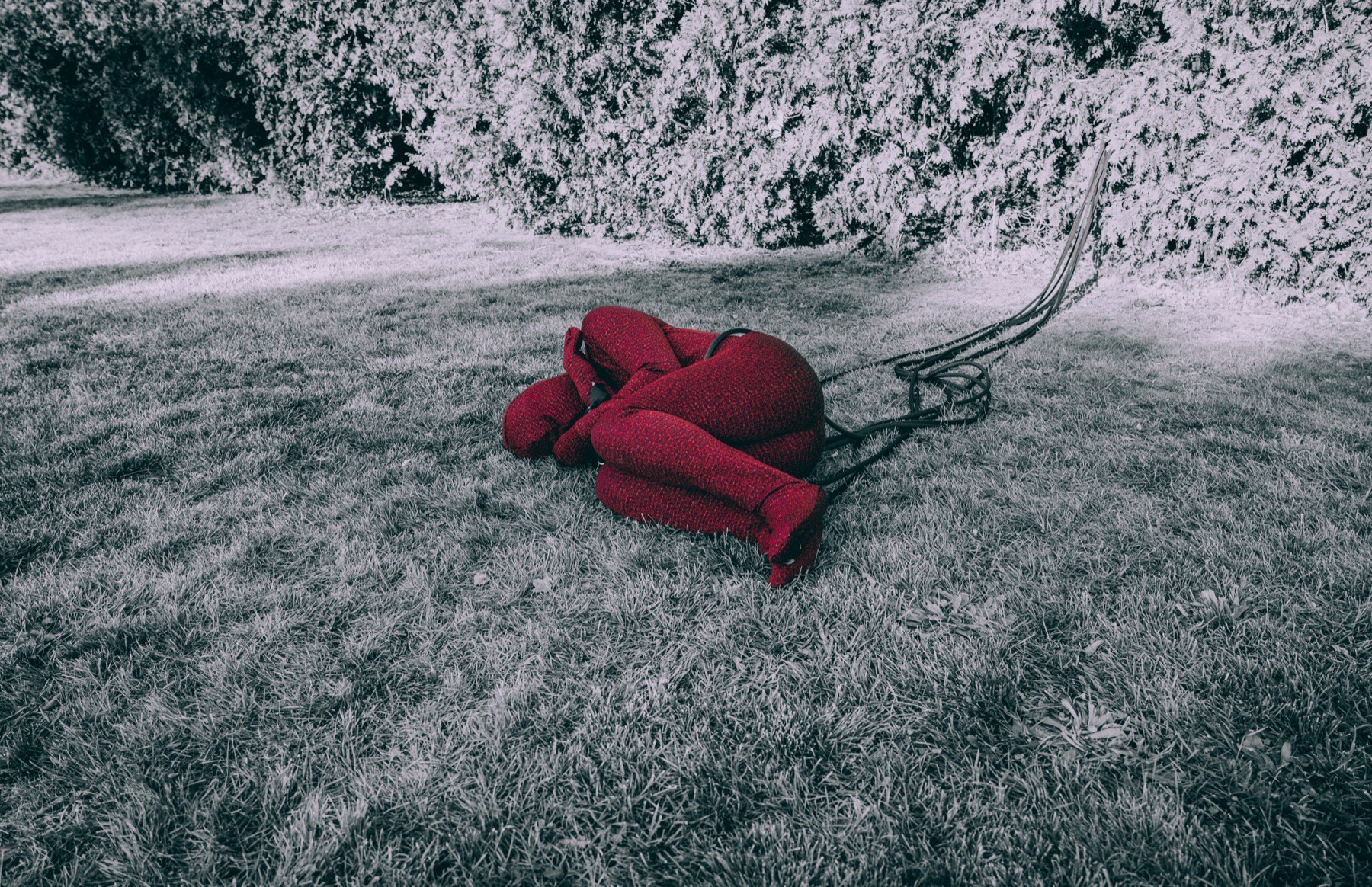 Restriction and Freedom image 5