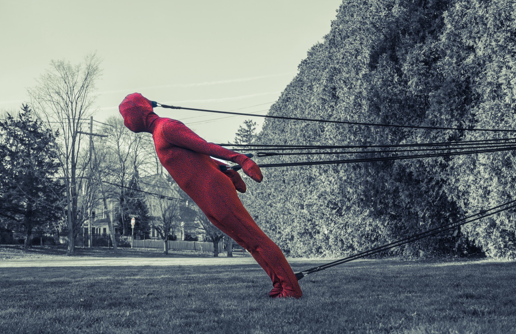 Restriction and Freedom image 6